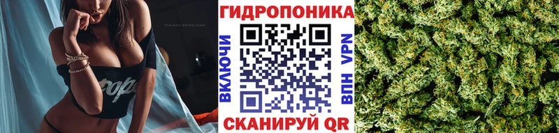 Цена Кострома Каннабис Альфа ПВП Галлюциногенные грибы Меф