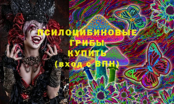 spice Абаза