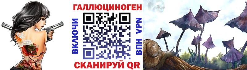 ОМГ ОМГ маркетплейс  Кострома  Галлюциногенные грибы мицелий  где найти  