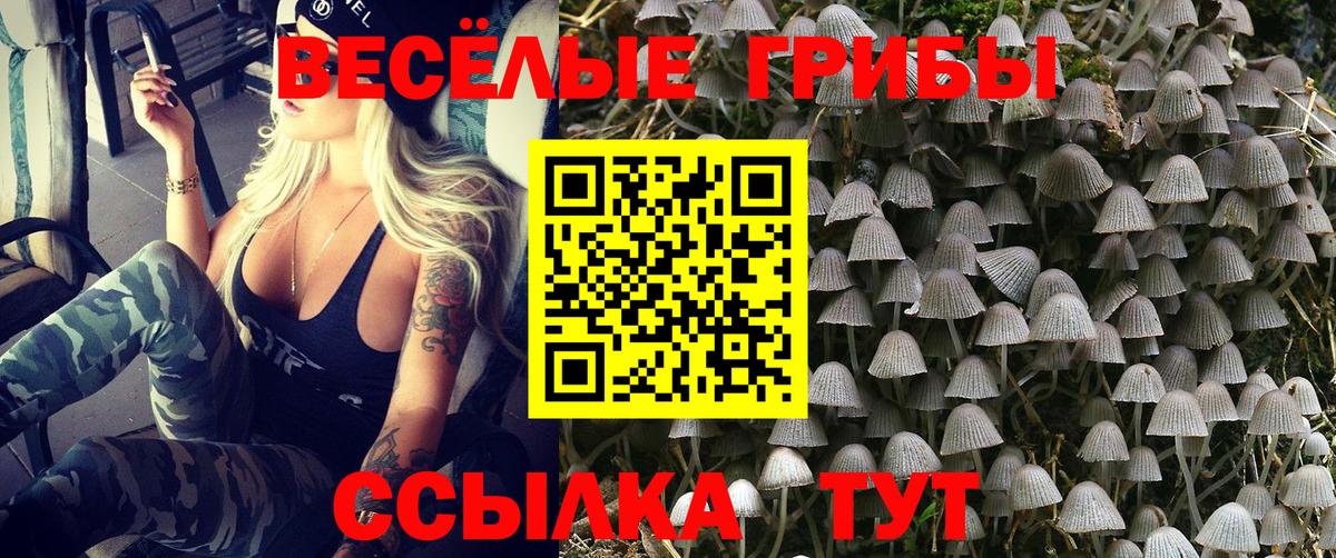 Кострома  Псилоцибиновые грибы GOLDEN TEACHER  Вход с VPN 